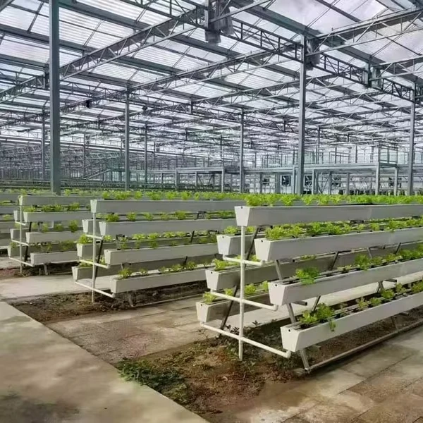 

Customized greenhouseHigh-Quality Polycarbonate Greenhouse Panels - UV-Protected, Weatherproof, Transparent, Durable for Agricul