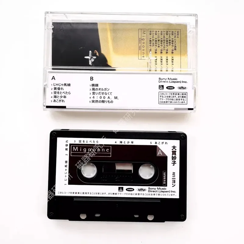 Рисунок 4 - Ретро Ryuichi Sakamoto Oonuki Taeko