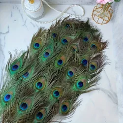 50 Pcs Peacock Feathers Long Natural Bulk Suitable for Vase Craft Vase Wedding Family Party Christmas Decoration Peacock Feather