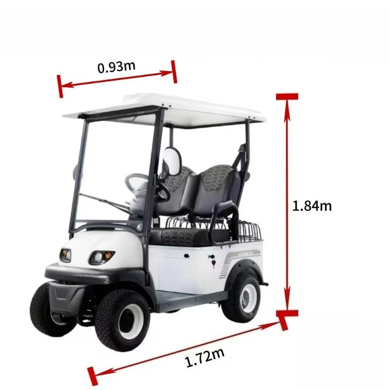 2 Seater Electric Tricycle, 800W Tuk Tuk Electric with LED Headlight & Storage Box, Motorized Trike for