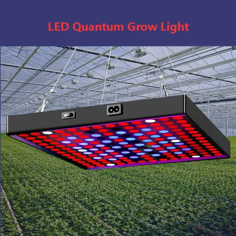 Luz LED Quantum Grow Lighting para plantas, 85-2024 V, espectro completo, luz hidropónica para interiores, gran oferta, 265