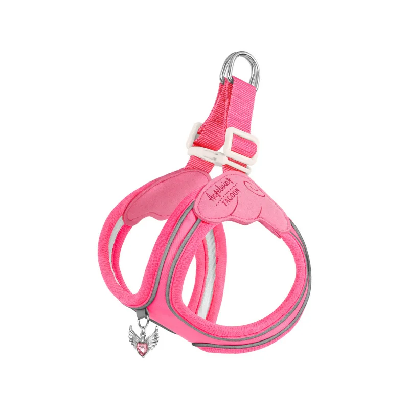 Reflective Dog Harness, No Pull Pet Harness, Dog Harness and Leash Set, Pet Walking Harness，Cute pet walking harness