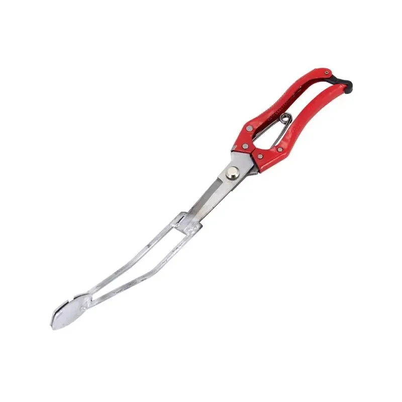 Sweet Potato Seedling Transplanter Tool Set with Precision Tweezers and Stainless Steel Scissors for Small Planting and