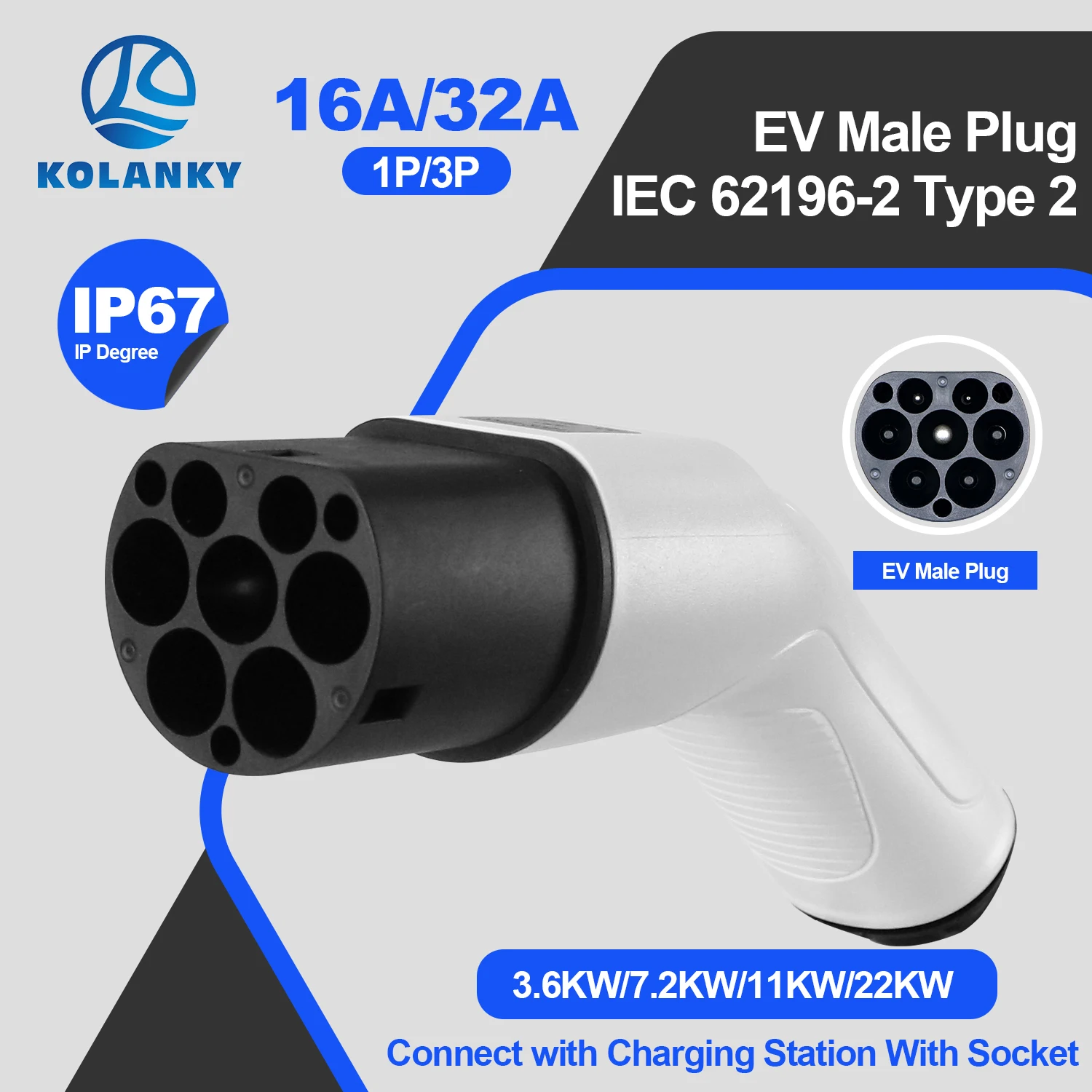 Kolanky Type 2 Male…