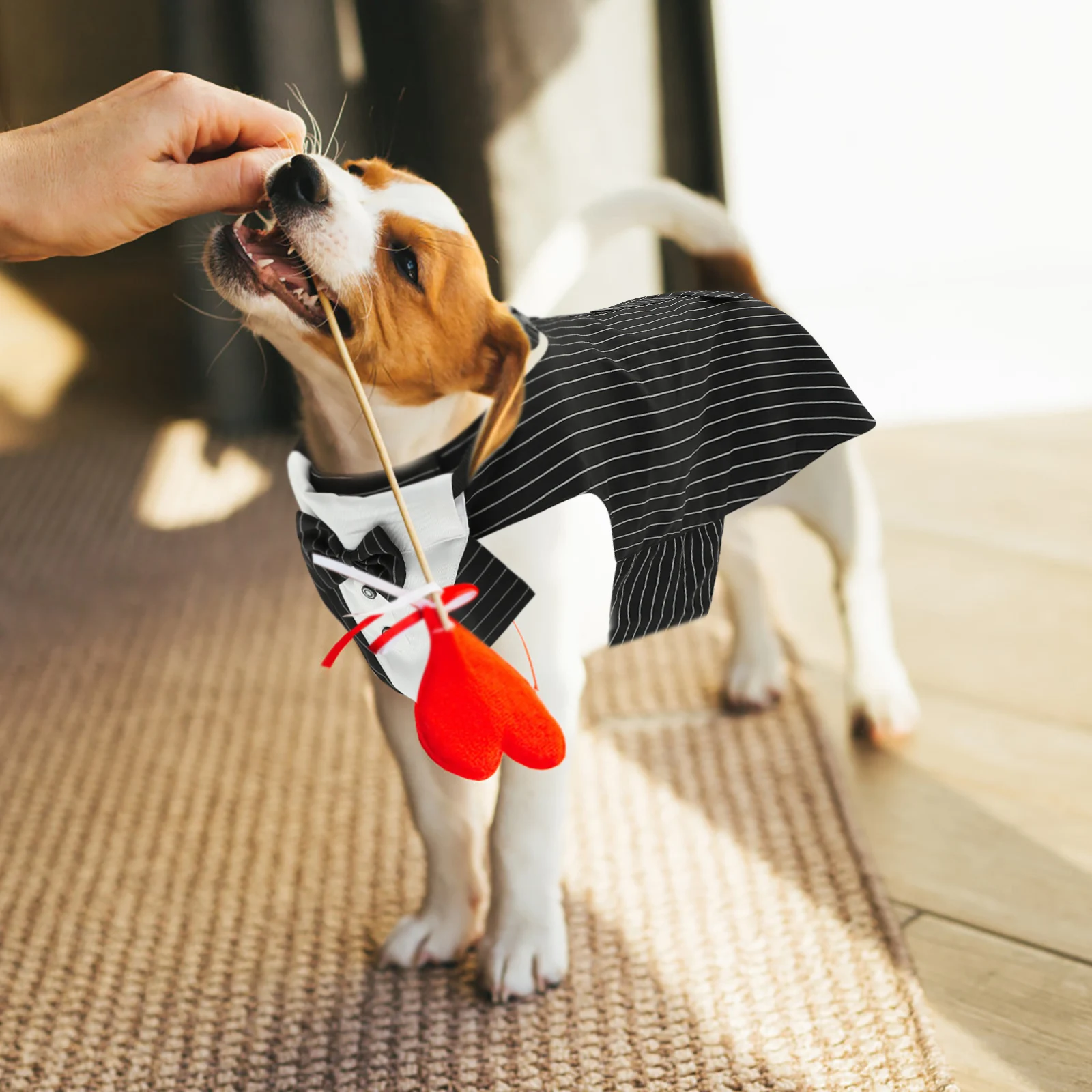 

Pet Dog Suit Costume Polyester Female Small Decorative Wedding Theme Comfortable Breathable Tuxedo Scarf Photoshoot Birthday