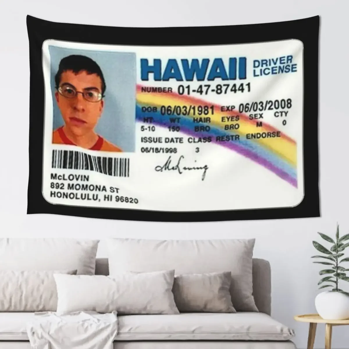 

McLOVIN Tapestry Aesthetic Decoration Room Decorations Kawaii Room Decor Tapestry