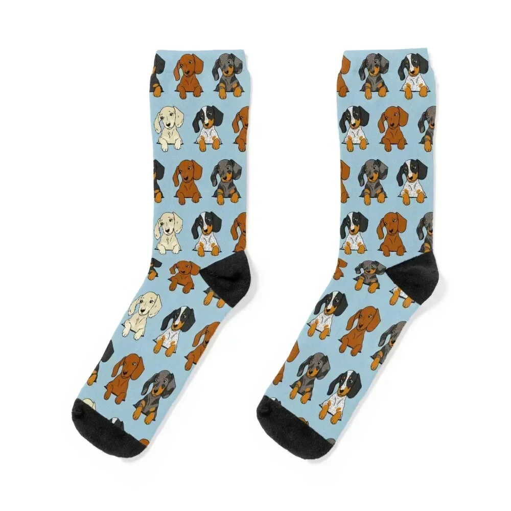 

All Breeds Dachshund Blue Sticker Pack Socks gifts Toe sports cycling hiking Girl'S Socks Men's
