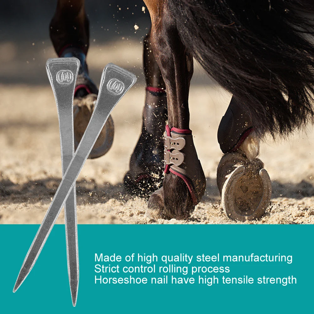 250Pcs Steel Horseshoe Nail E6 High Quality Horseshoe Nail Steel Hoof Peg Securing Firmly Horse Tool Accessory Horse Hoof Nail