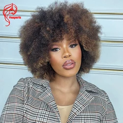 Hesperis-Peruca Curly Afro Kinky com Franja para Mulheres, Peruca Feita Máquina Completa, Cabelo Brasileiro Remy, Cabelo Humano Kinky, 200 Densidade, 12 polegadas