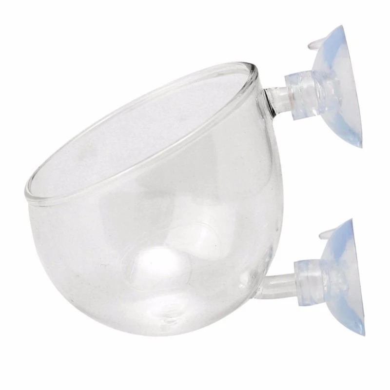 Clear Glass Plant Holders with Suction Cups for Aquariums Landscape Cup