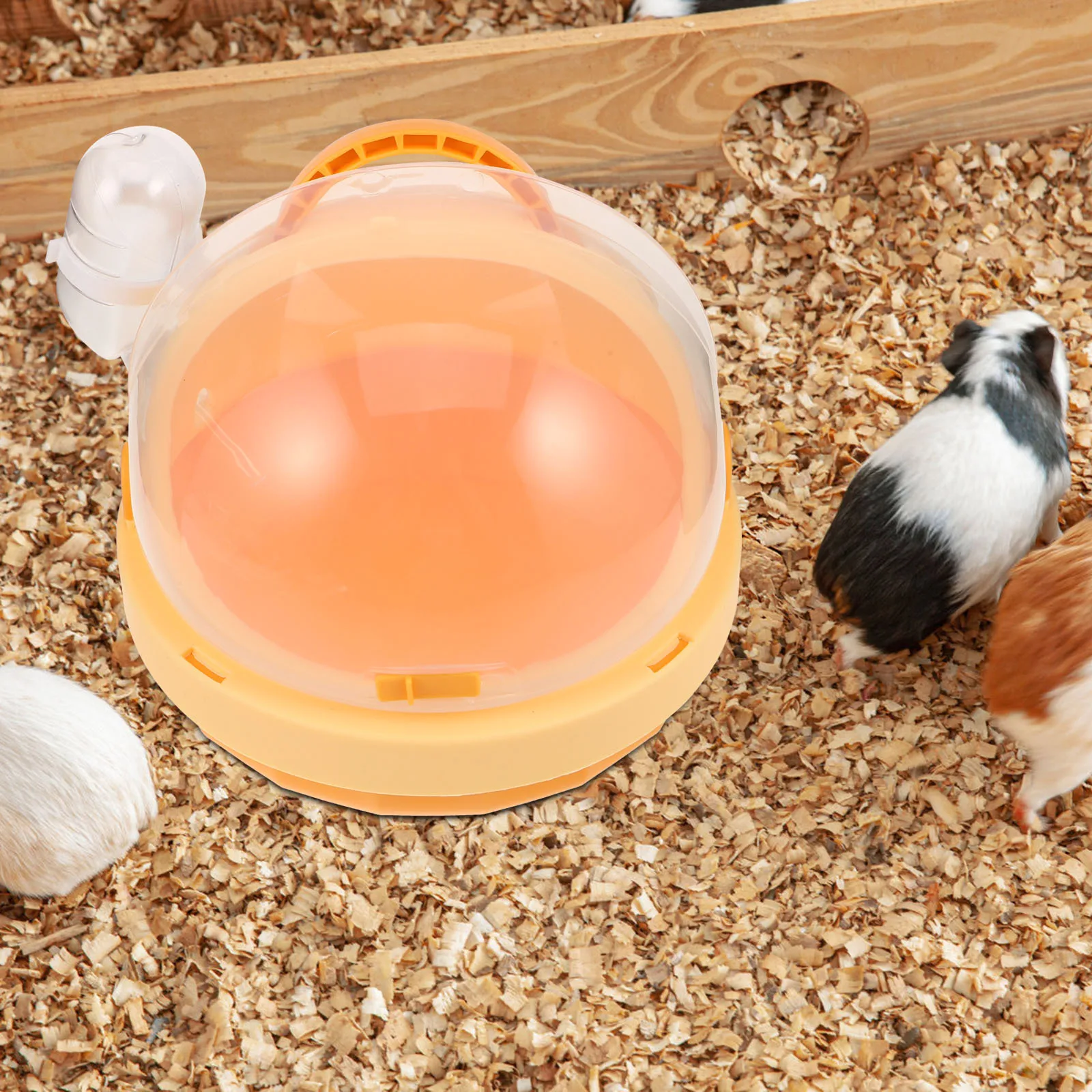 

Portable Hamster Cage Small Pet Carrying Container Outdoor Travel Carrier Lightweight Dwarf Hamster Case with Hydration Bottle