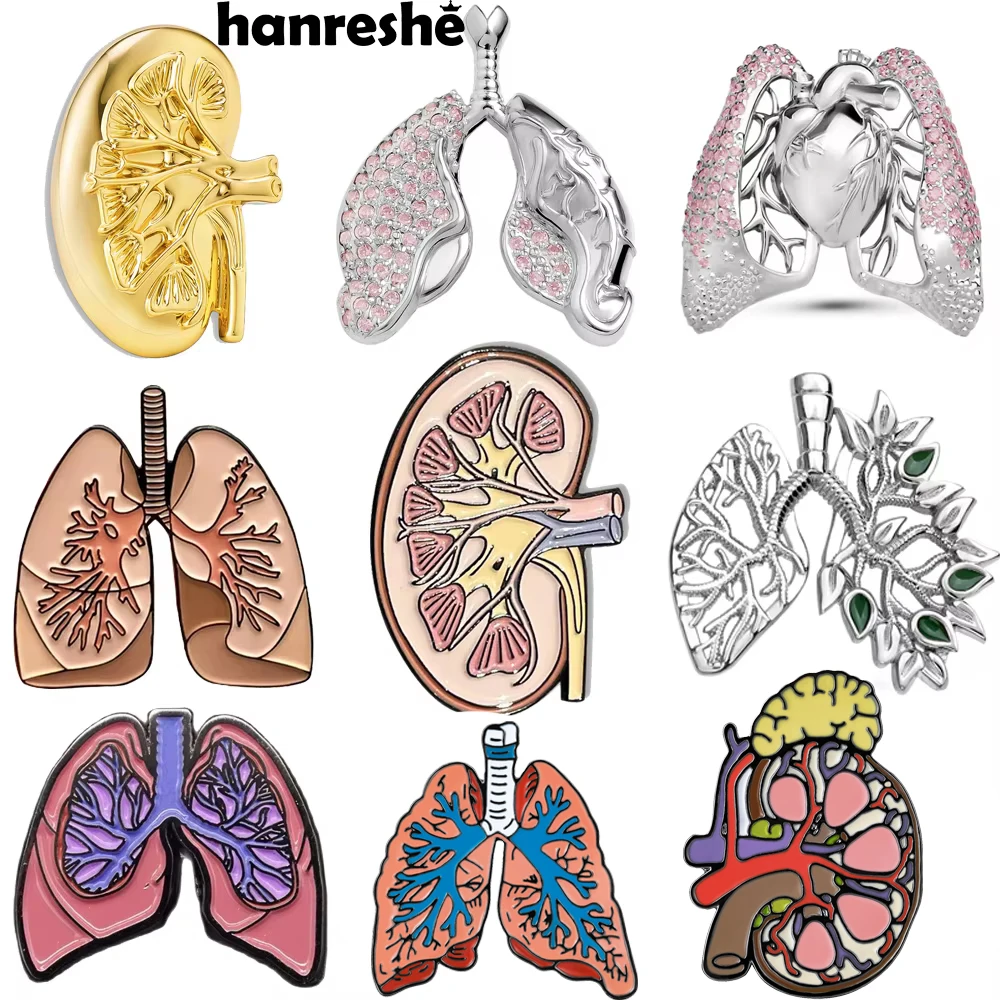 Hanreshe Medical Lung and Kidney Broochs Pins Wholesale Anatomy Biology Jewelry Lapel Backpack Medicine Badge for Doctor Nurse