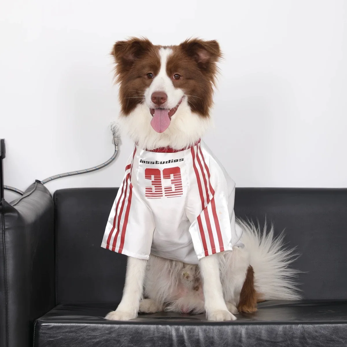 

Sporty Pet Dog Clothes with 33 Print Breathable Cotton Jersey for Border Collies Machine Washable Fashion Apparel for Medium Dog
