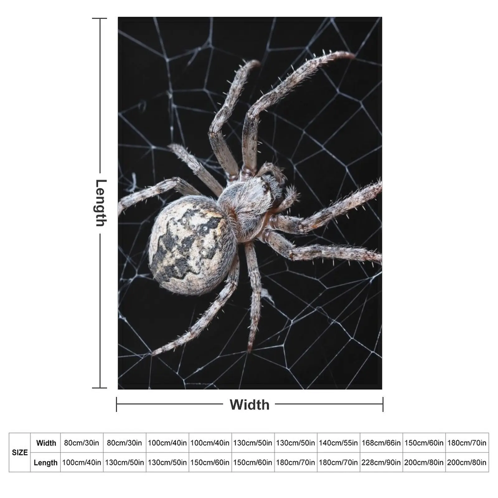 Big Spider On Cobweb Throw Blanket couch cozy soft plush fuzzy picnic outdoor blanket