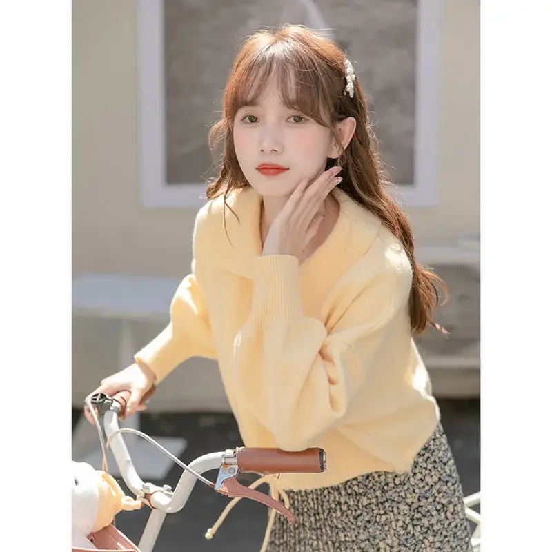 

Sweaters Jumpers Pullovers Women Pullover Y2K Blue Elastic Mesh Back Athletic Basketball Daily Game Sport Streetwears Fur Collar