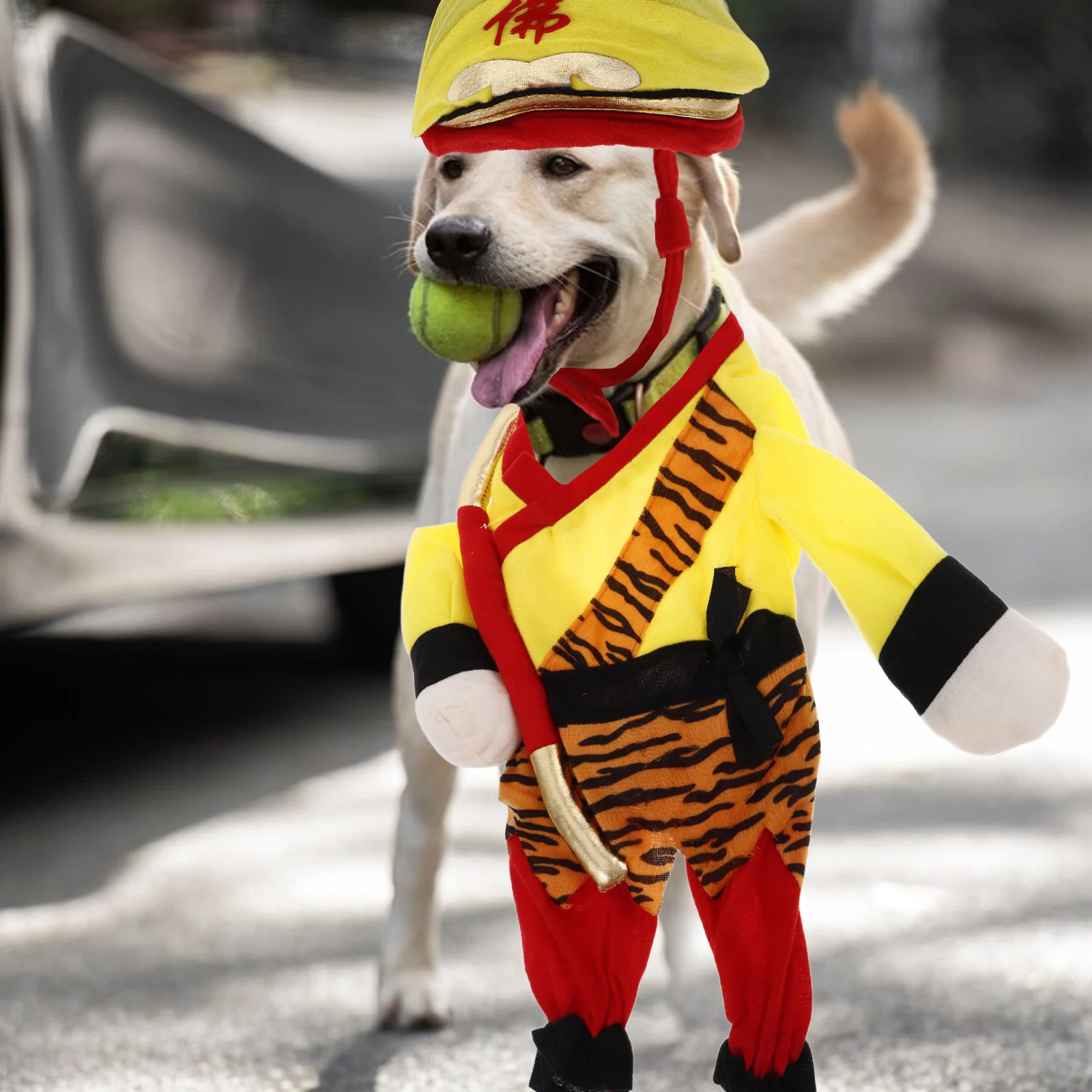 

Transforming Pet Costume Accessories For Puppy Hoodie Golden Sweater Funny Clothes Halloween Costumes Dog Coats