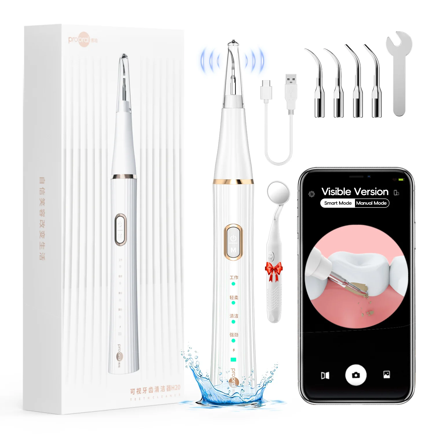 مزيل البلاك/الترار المرئي للأسنان، مجموعة تنظيف مزيل حساب التفاضل والتكامل مع ضوء LED - 4 رؤوس، منظف الأسنان للمنزل