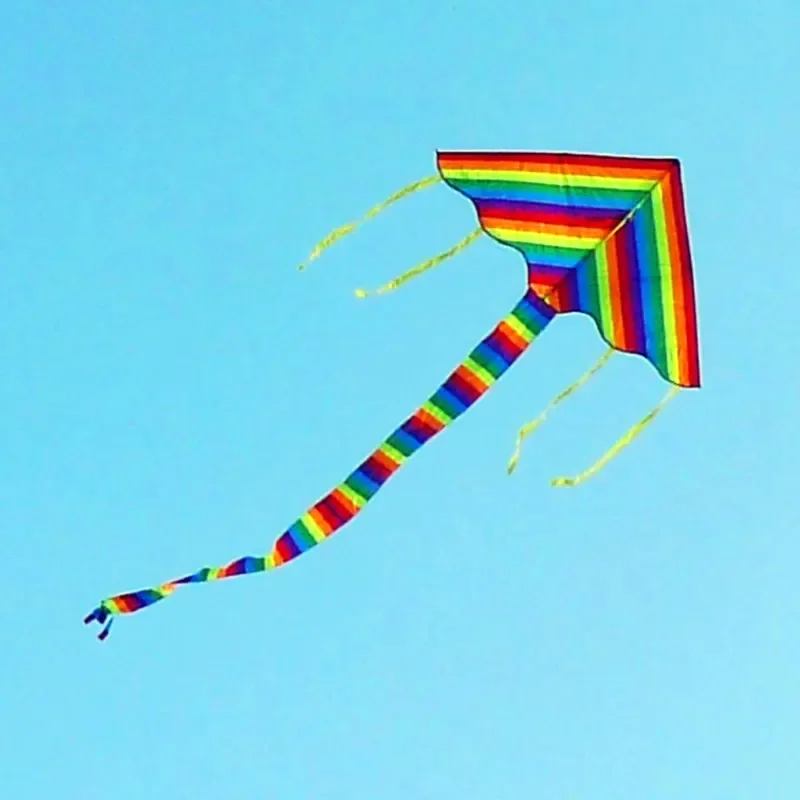 Free shipping rainbow delta kites for children kites for kids reel nylon kite butterfly kite quad line kite handles parachute