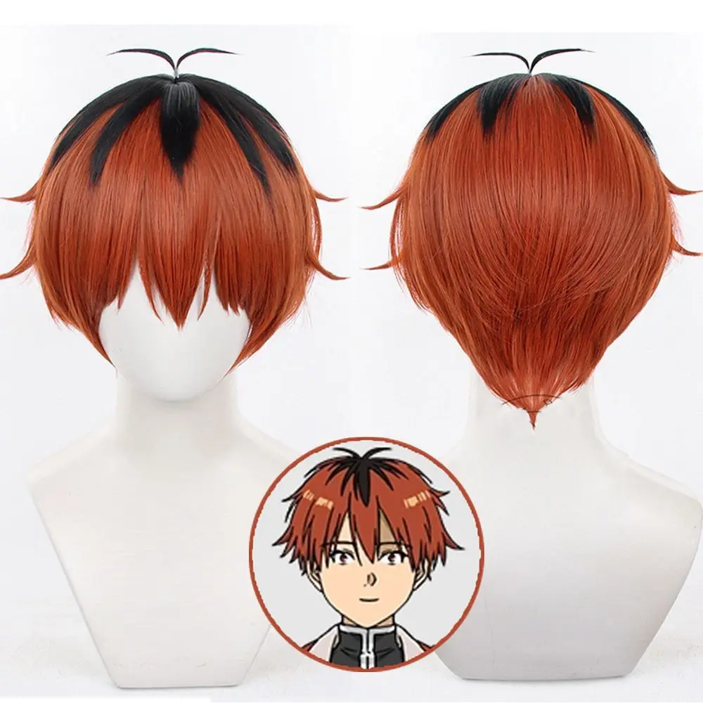 Furion Cosplay Wig For 