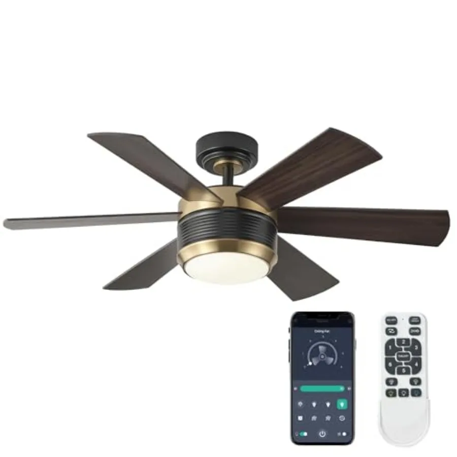 Ceilg Fan with Lights and Remote, 6 Blade App Control Timer Reversible Stepless Brightness and Color Temperature Outdoor Wood C