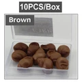 Brown Snail