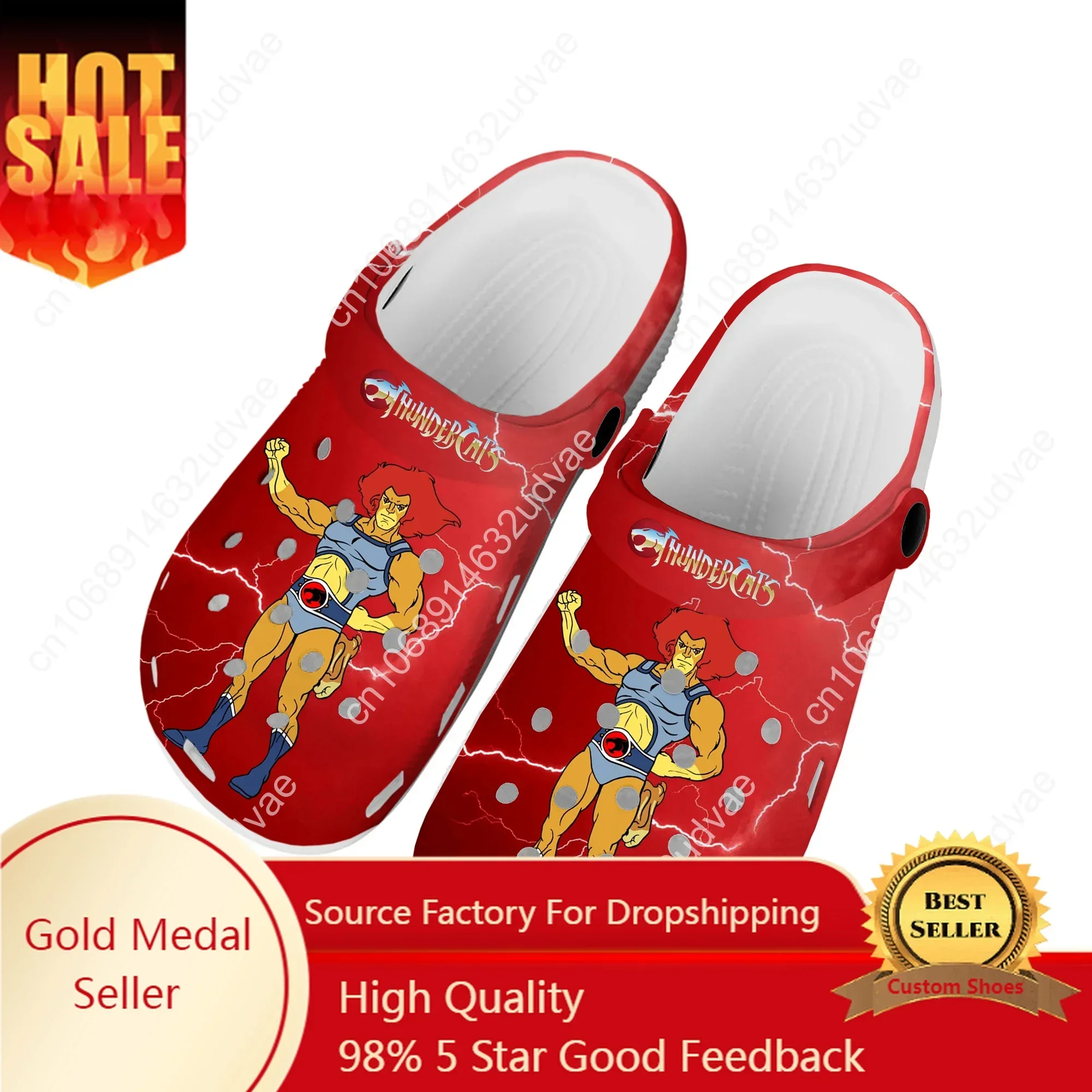 Desenhos animados Thundercats Casa Tamancos, Sapatos De Água Personalizados, Homens Mulheres Adolescente, Tamancos De Jardim, Chinelo De Buraco De Praia, Chinelos Casuais