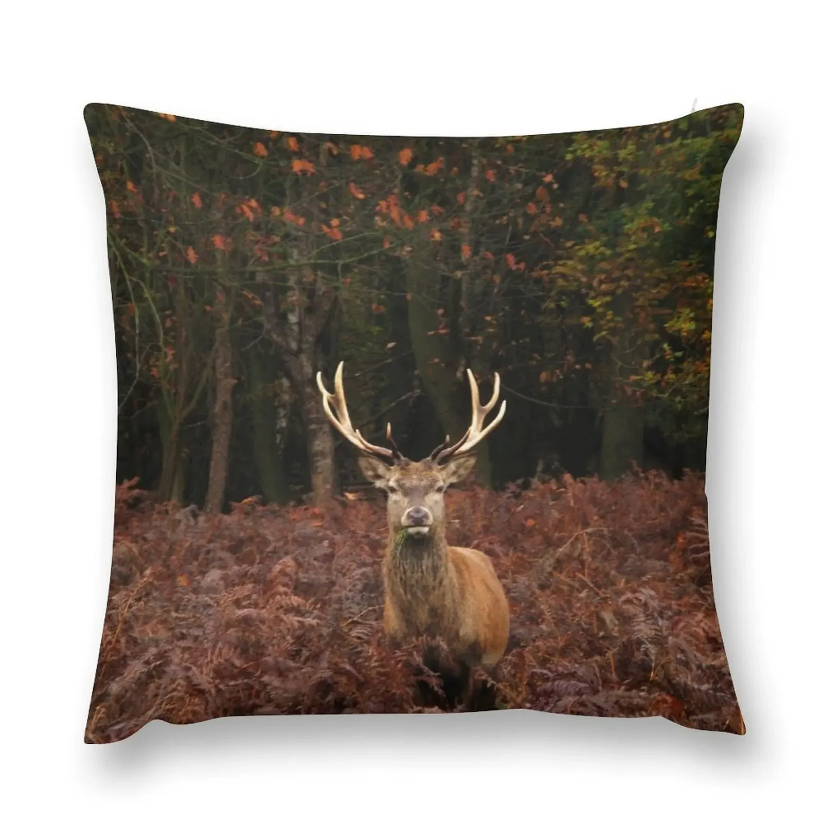 

A Deer Stag in autumn Throw Pillow pillows decor home autumn pillowcase pillow