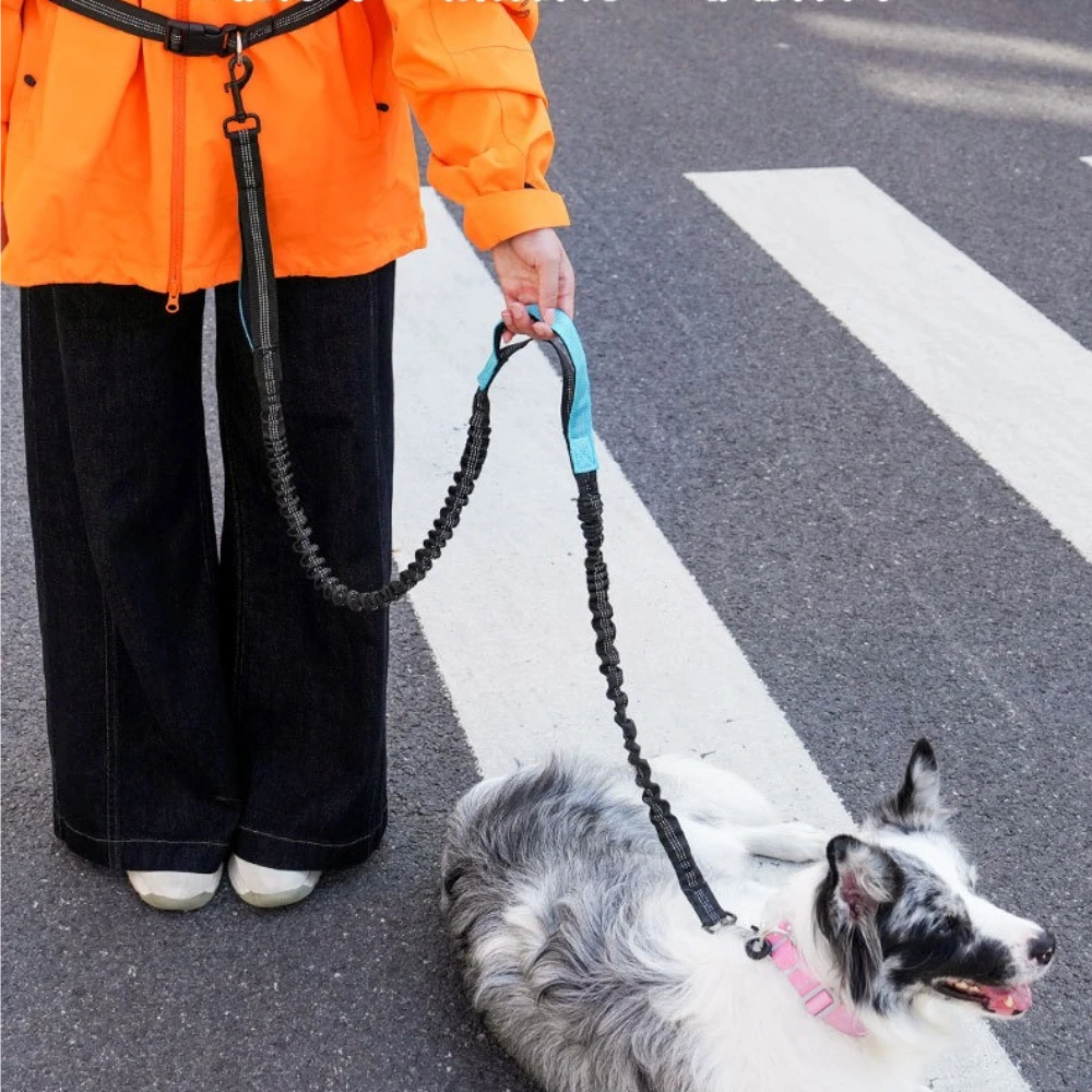 Hands Free Dog Running Leash Waist Belt - Correa de Correr para Perros con