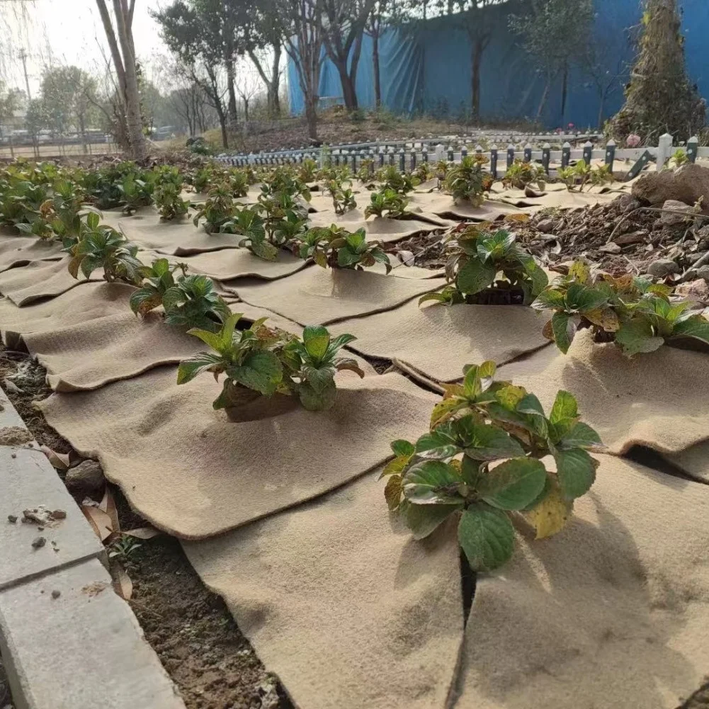 Wheatgrass Starter As Shown Hemp Grow Mat Biodegradable Supports Germination Easy To Use Fits Various Trays Home Gardening