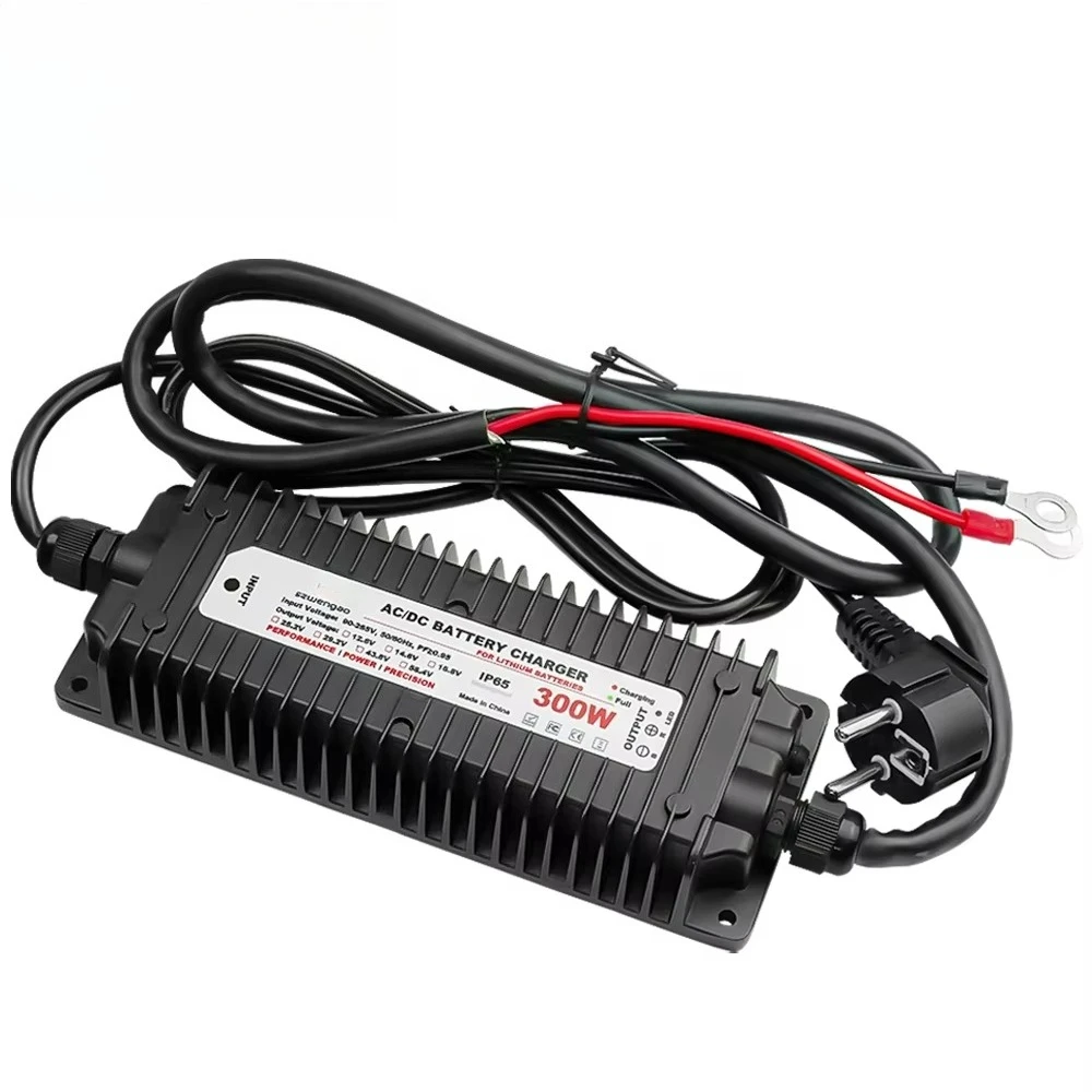 

Морское зарядное устройство для литиевых батарей AC-DC 14,6 В 29,2 В 43,8 В 58,4 В 300 Вт водонепроницаемое зарядное устройство