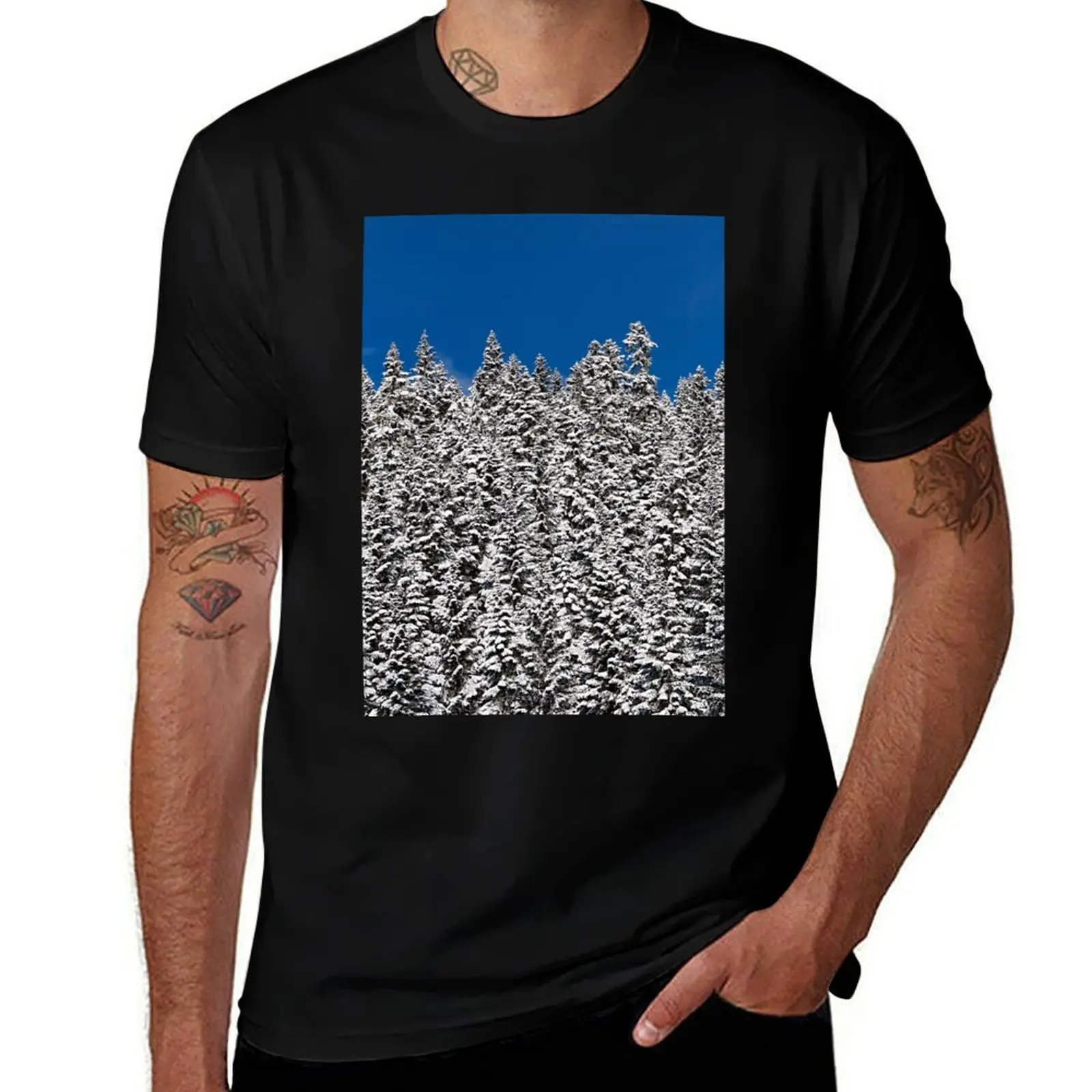 Stevens Pass 3 T-Shirt Essential Solid Color T-Shirt