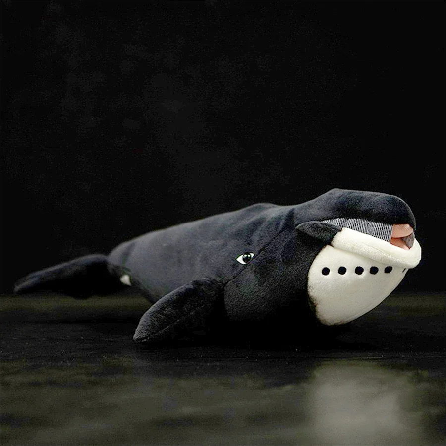 Bowhead Whale High Fidelity Anime Cute Plushie Humpback Right Whale Plush Toys Lifelike Animals Simulation Stuffed Doll Kawai