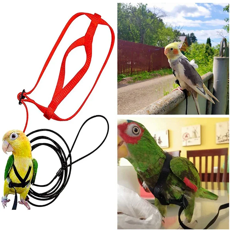 

Training Flying Traction Rope Anti-Bite Training Rope Bird Parrot Flying Rope Parrot Harness Bird Harness Leash Parakeet toys