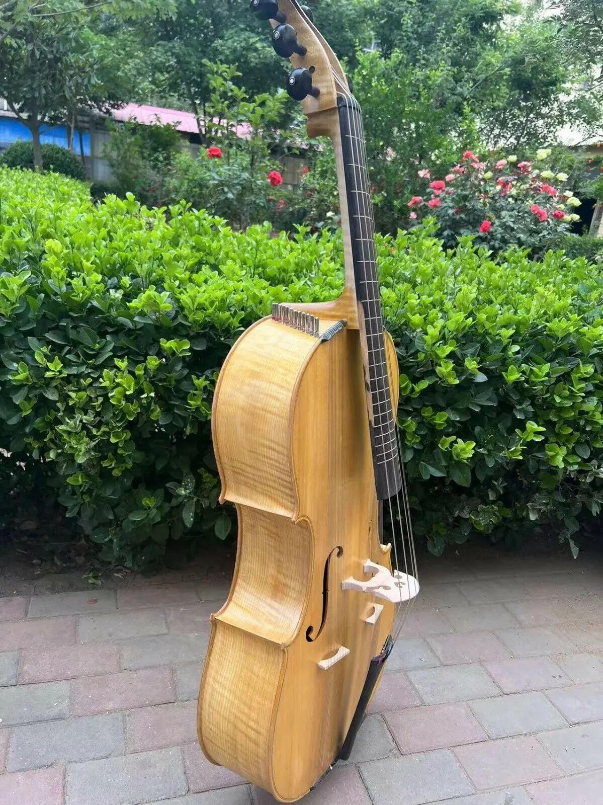 Standard full-scale 6 strings Cello-Arpeggione with 24 sympathetic strings