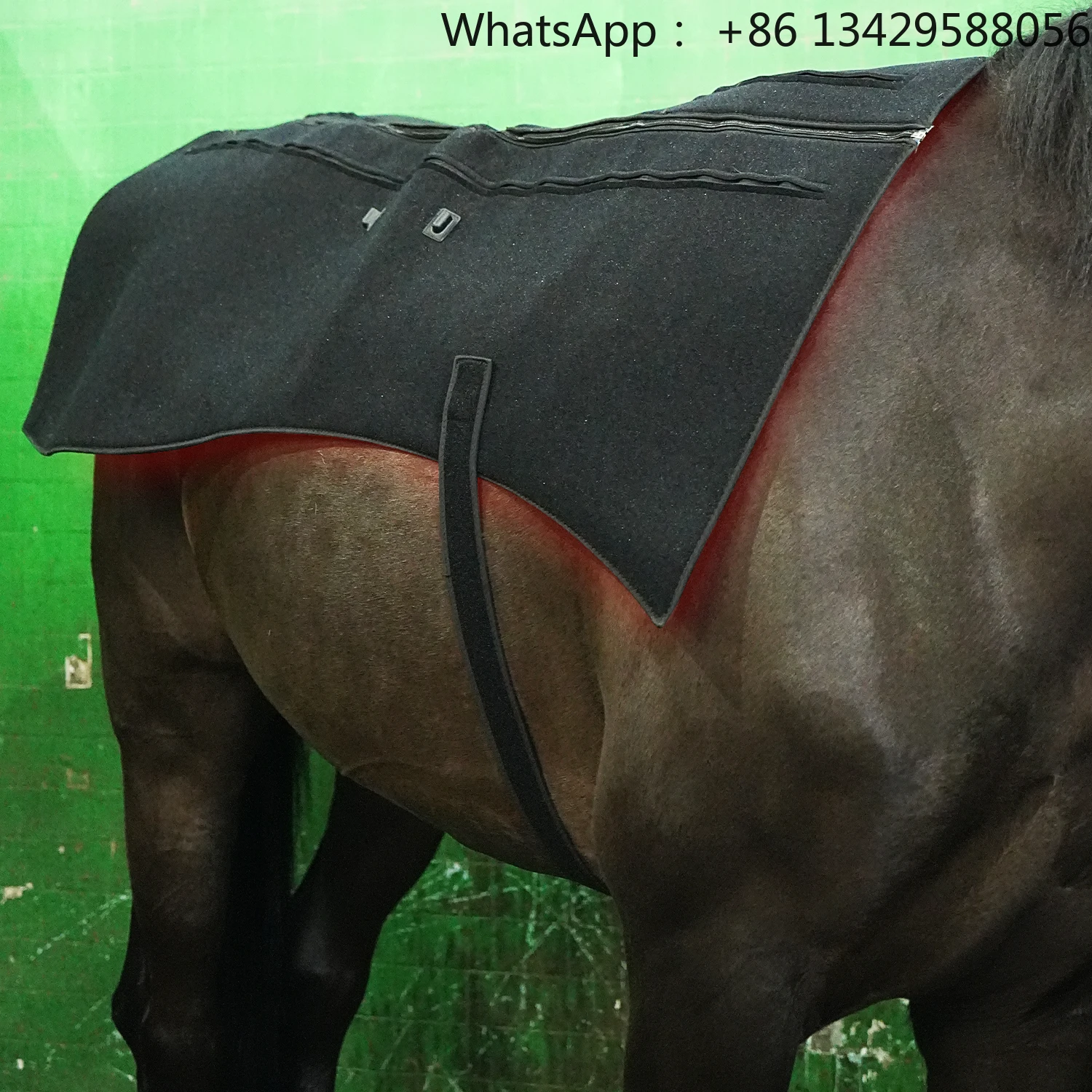 

Light Wrap Belt Pet D05 Series for Horse