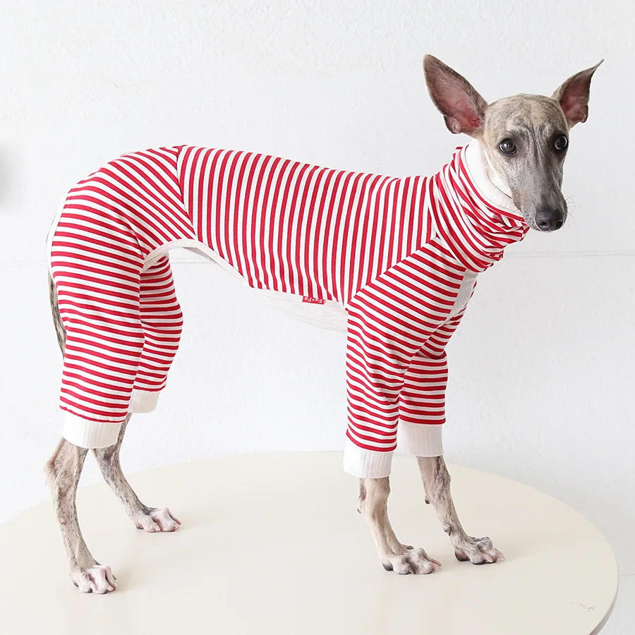 Jersey suave para galgos – Suéter de algodón para perros en invierno - imagen 4