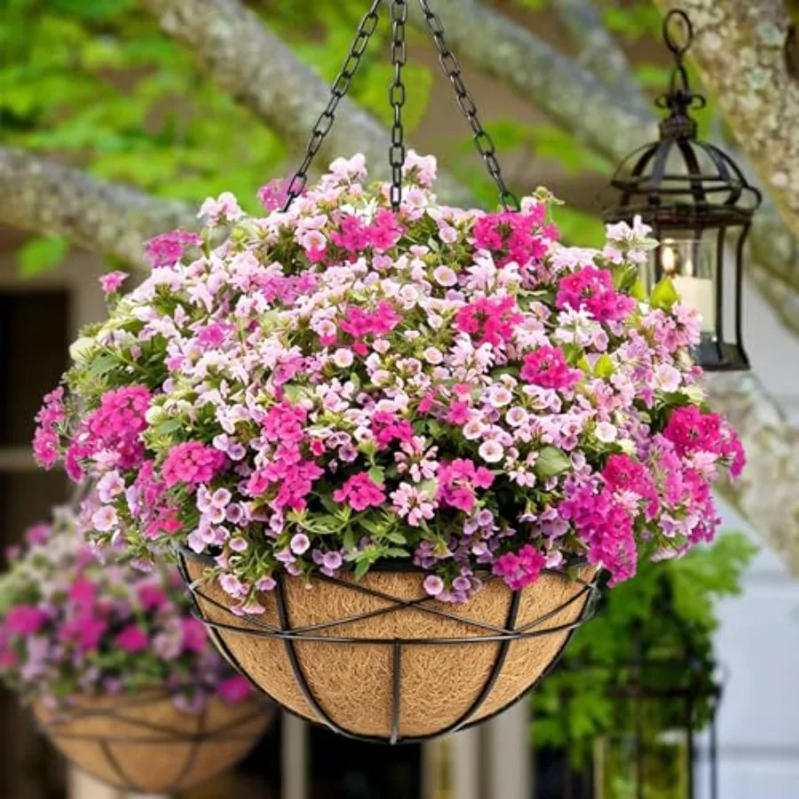 Outdoor metal wire hanging planters, 16 inch, black, rust-resistant finish, deep design with coco liner plastic saucer for porc