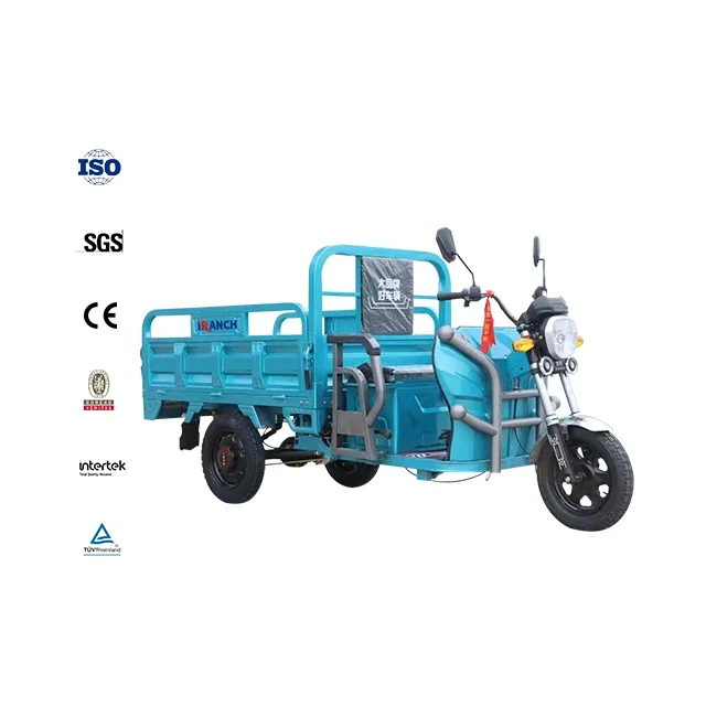 3 Wheel Motorcycle For Cargo Adult In China Adults Truck Taxi 1200w 250w Passenger Eec 2 People Gasoline Van Electric Tricycle