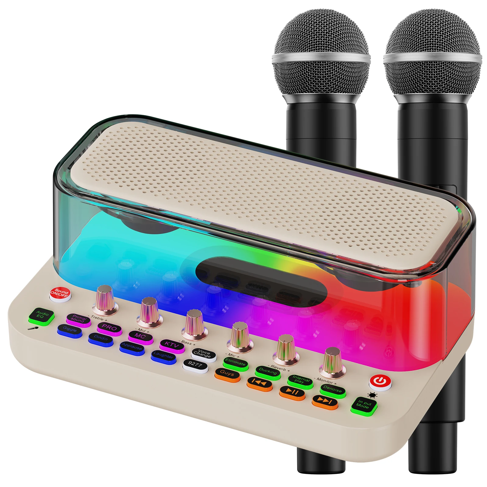 

Portable Bluetooth Speaker with 2 Wireless Karaoke Microphones, Karaoke Machine for Adults Kids with Upgraded Subwoofer