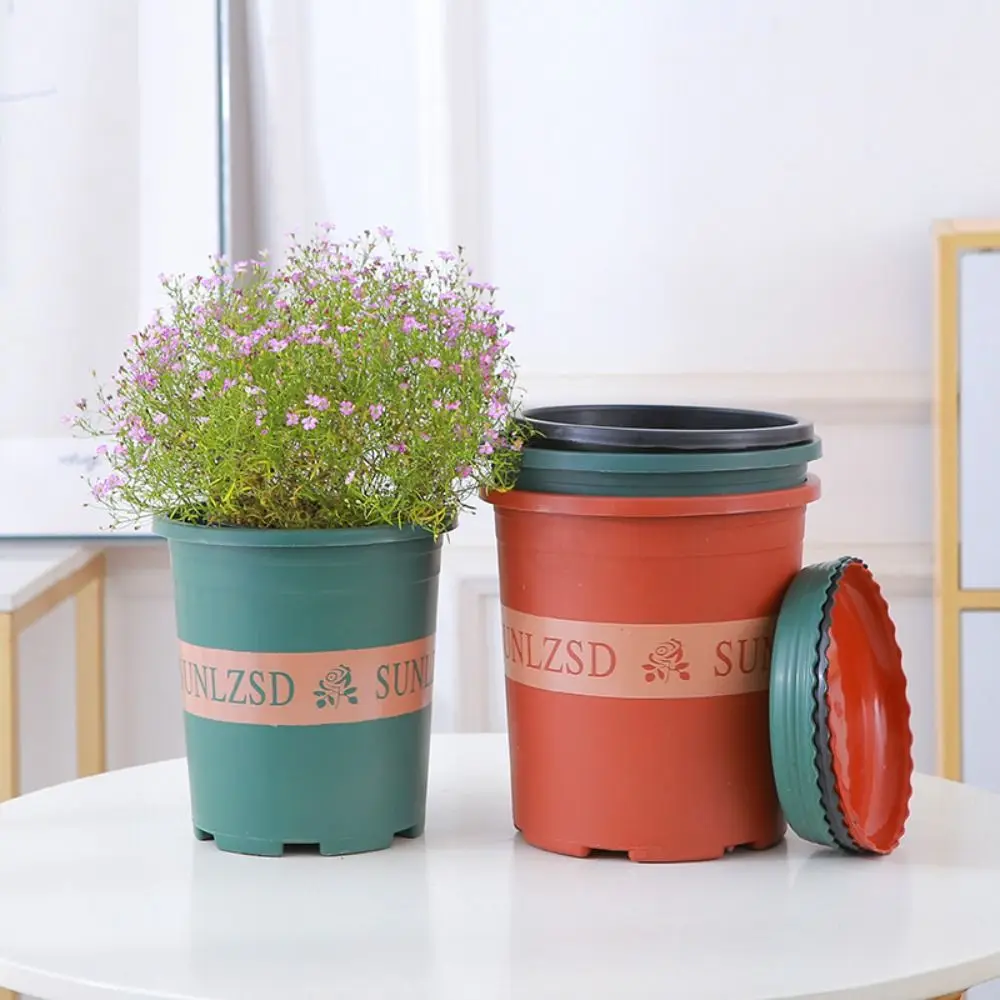 الشمال نمط الأحمر مكتب حديقة مكتب ديكور السحلية للمنزل اناء للزهور البستنة اناء للزهور العصارة وعاء جالون حوض