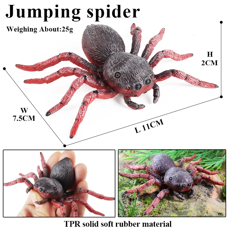 Oenux Wild Insekt Tier Modell Raupe Eidechse Spinne Gekko Chamäleon Action-figuren Weiche TPR Halloween Trick Spielzeug Kind Geschenk – Detail 10