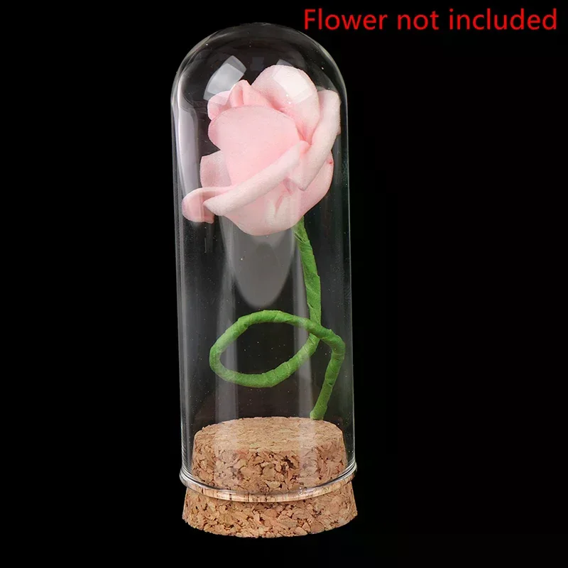 1/6 Doll Glass Dome Display Wood Cork Bell Jar With Wooden Base Decoation Craft