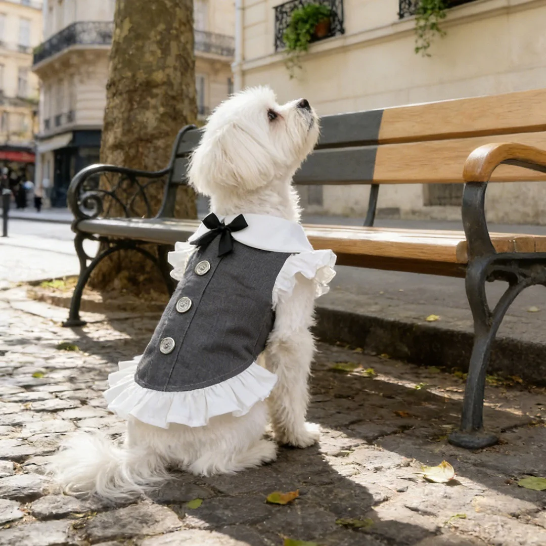 Chaleco a cuadros para perro pequeño con falda y cuello de Princesa - imagen 3