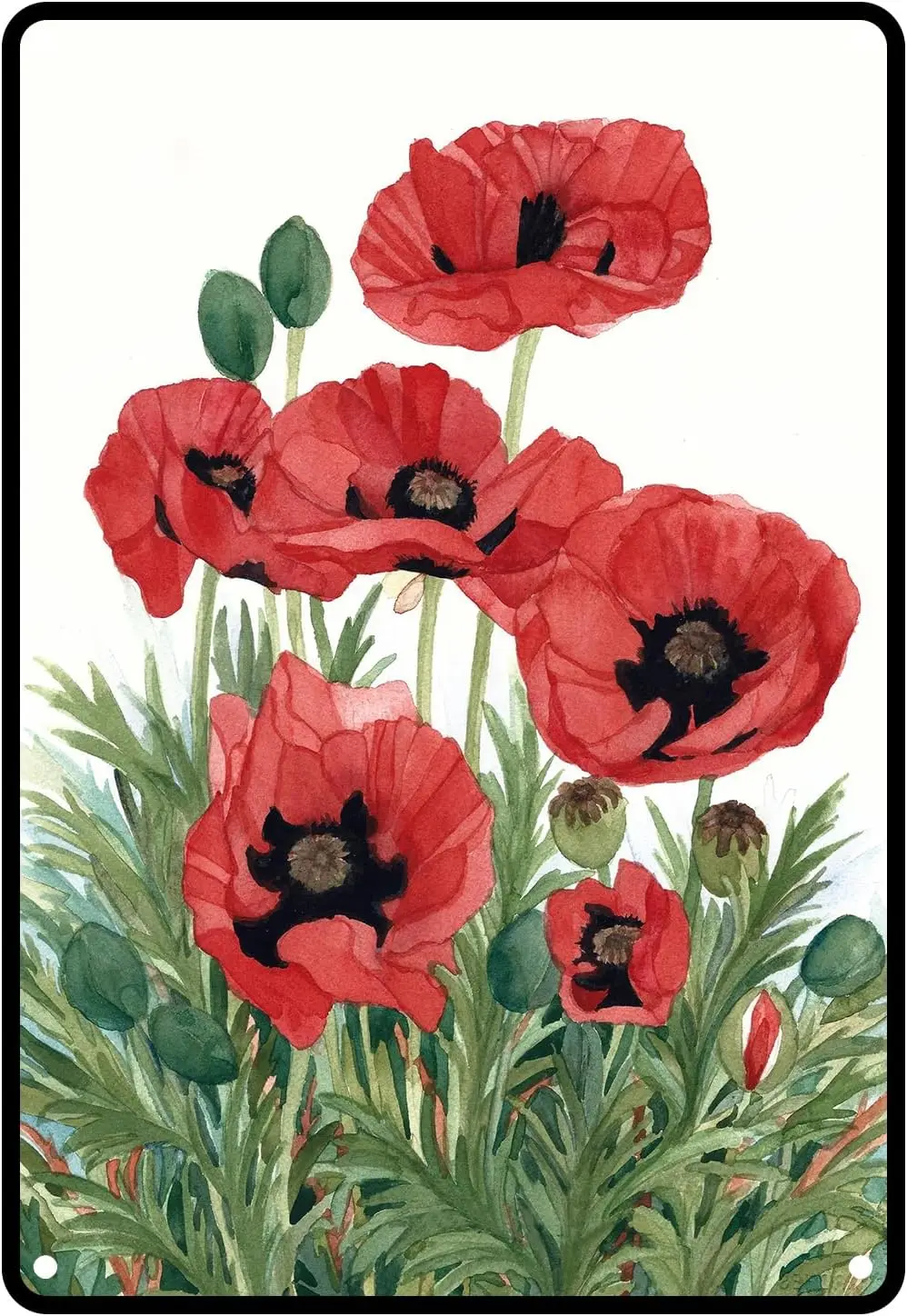 Flowers Poppies Metal Sign Poppies Flower Tin Sign Red Poppy Botanical Floral Vintage Metal Sign Poppies Flower Garden Decorativ