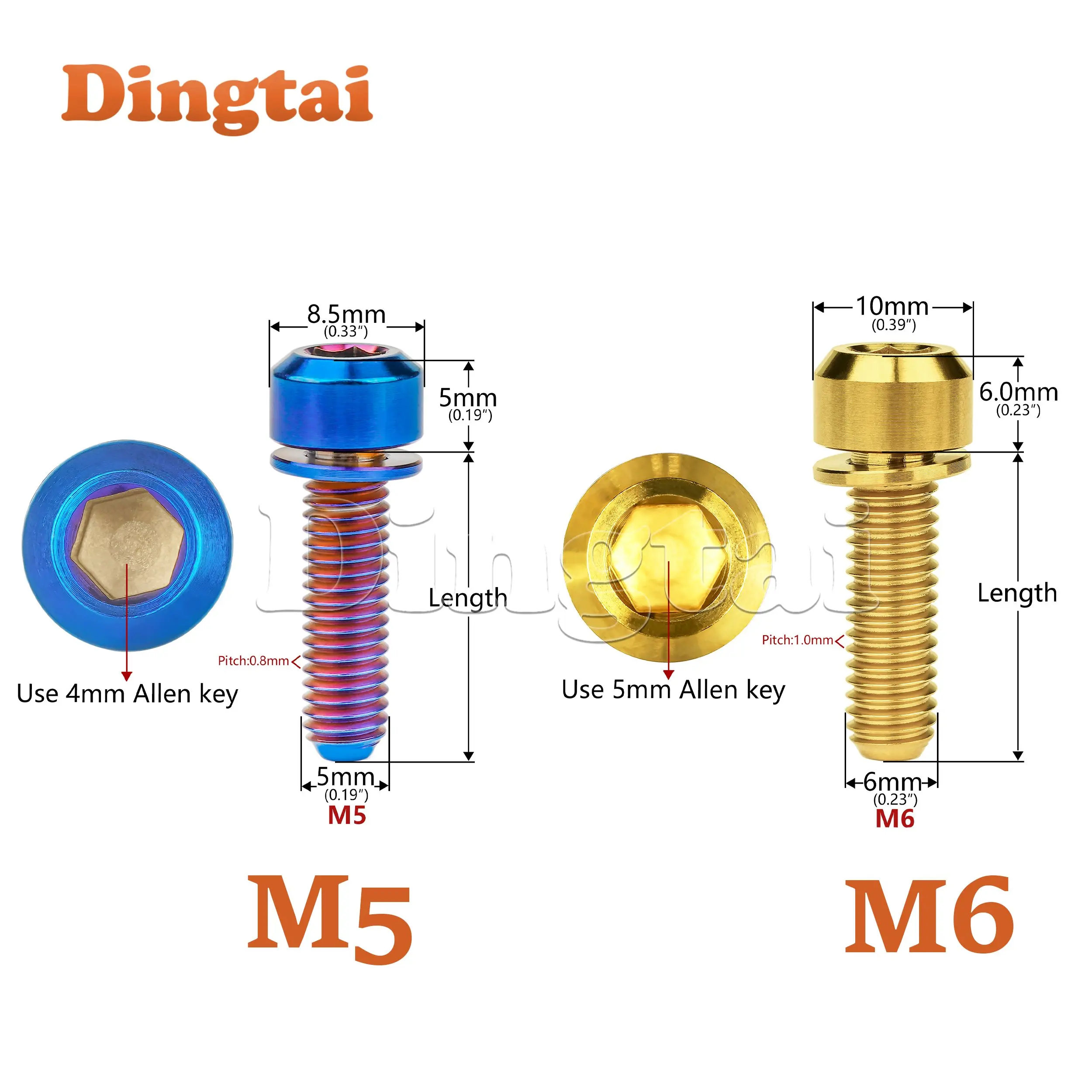 Dingtai Titanium Bolt 10PCS M5/M6x16 18 20 25 30 35mm  Bolts Socket Head Bolts with Washers for Mount Bicycle Screws