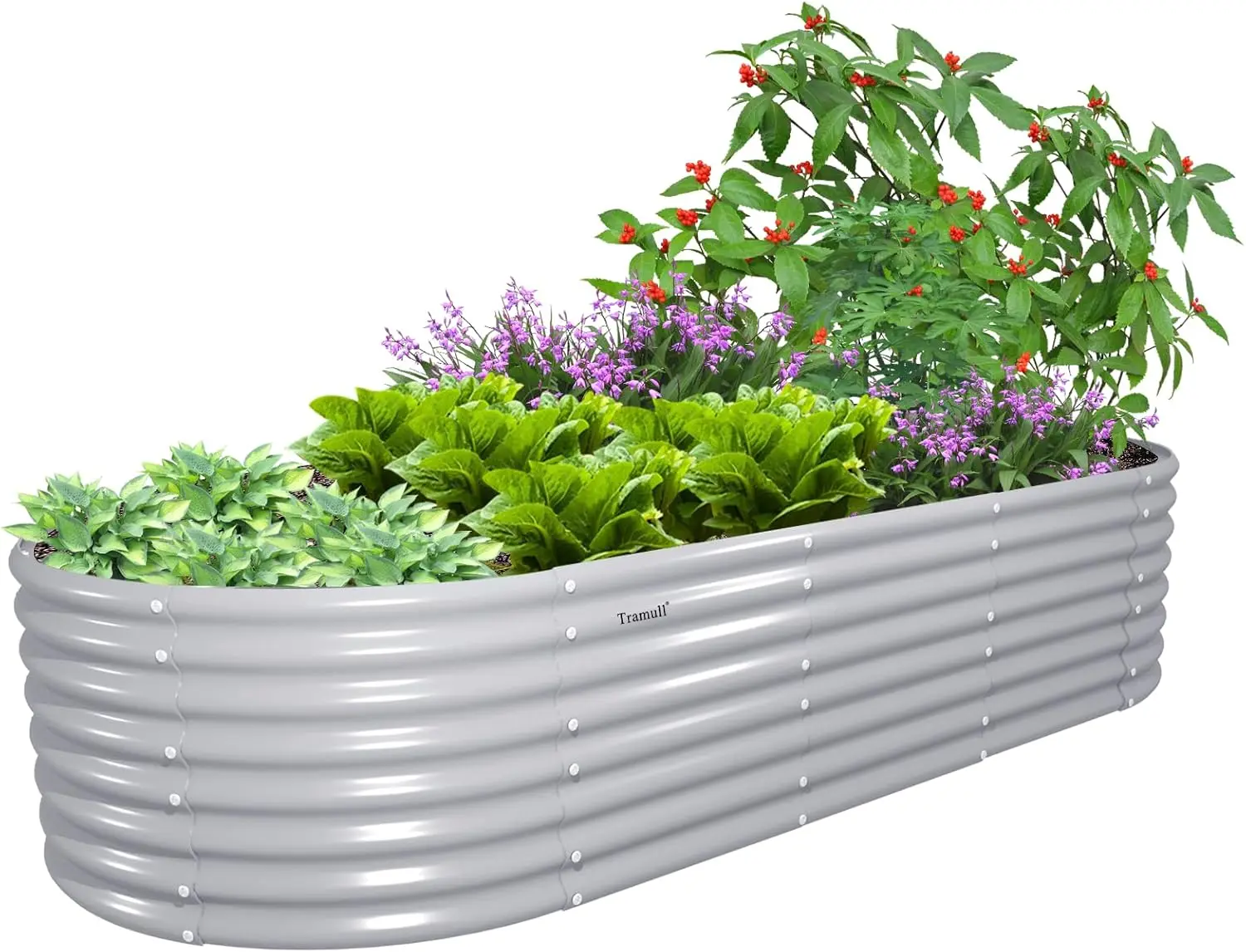 8x3x2ft Galvanized Raised Garden Bed, 24