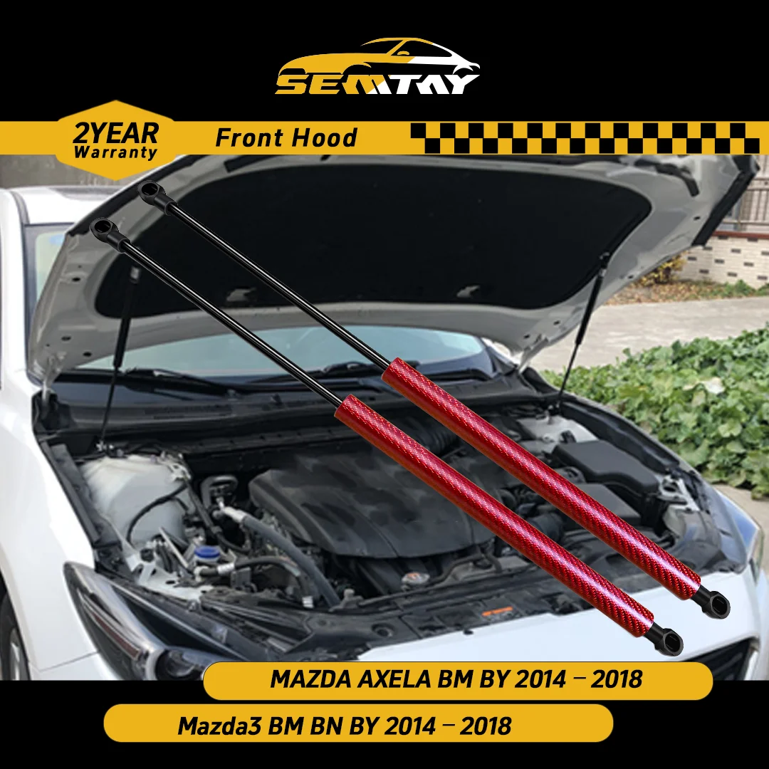 Semtay Hood Struts … - image