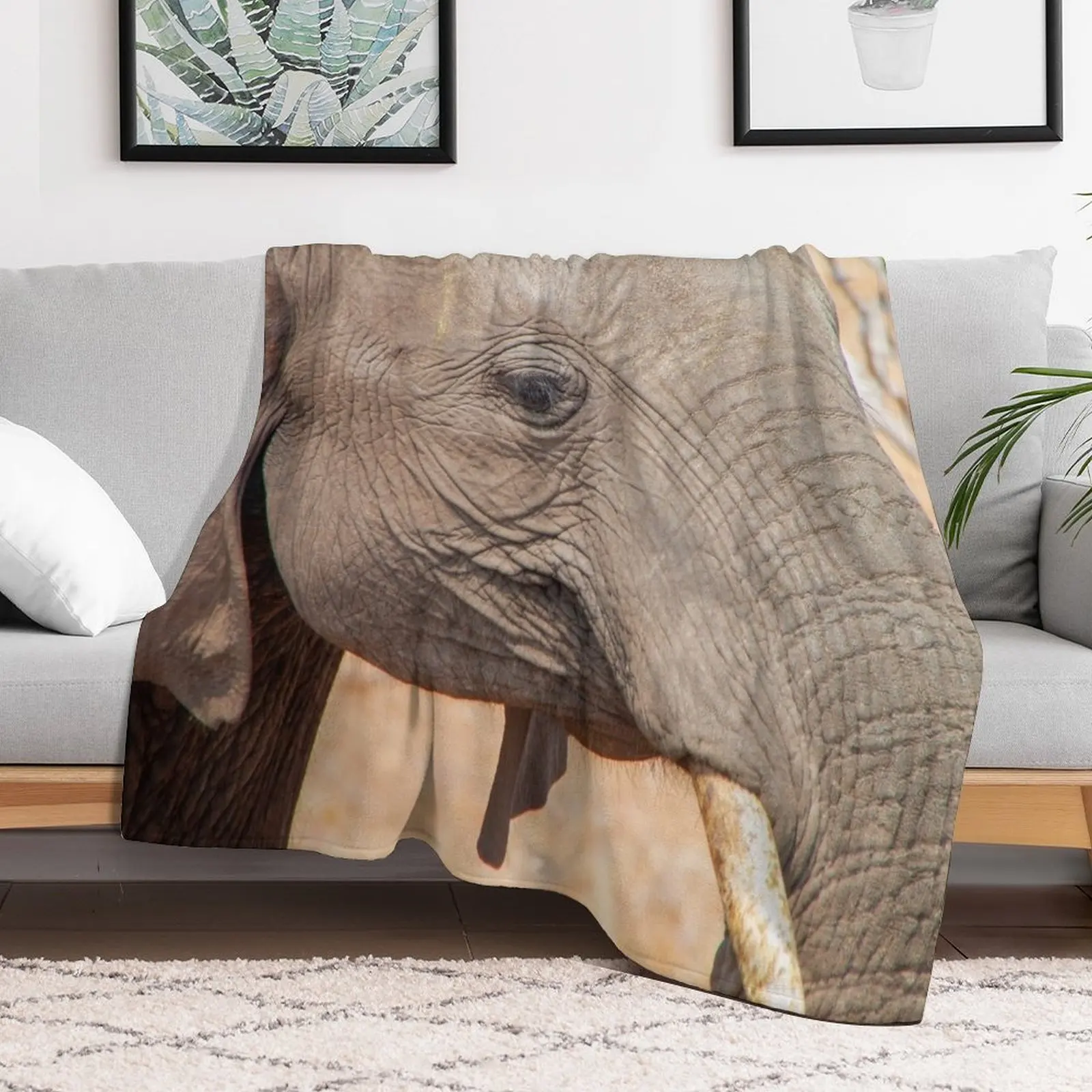 Manta de tiro con Vista de ojo de elefante africano para invierno, sofás decorativos de felpa, mantas más suaves