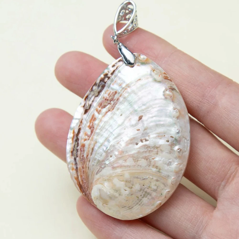 1PC 45-60Mm Abalone…