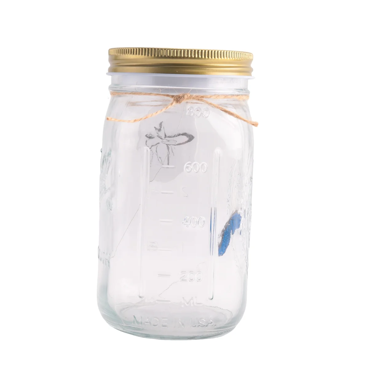 Simulation Butterfly Collection in a Jar, Butterfly Jar That Moves, LED Light Romantic Glass Animated Butterfly Blue